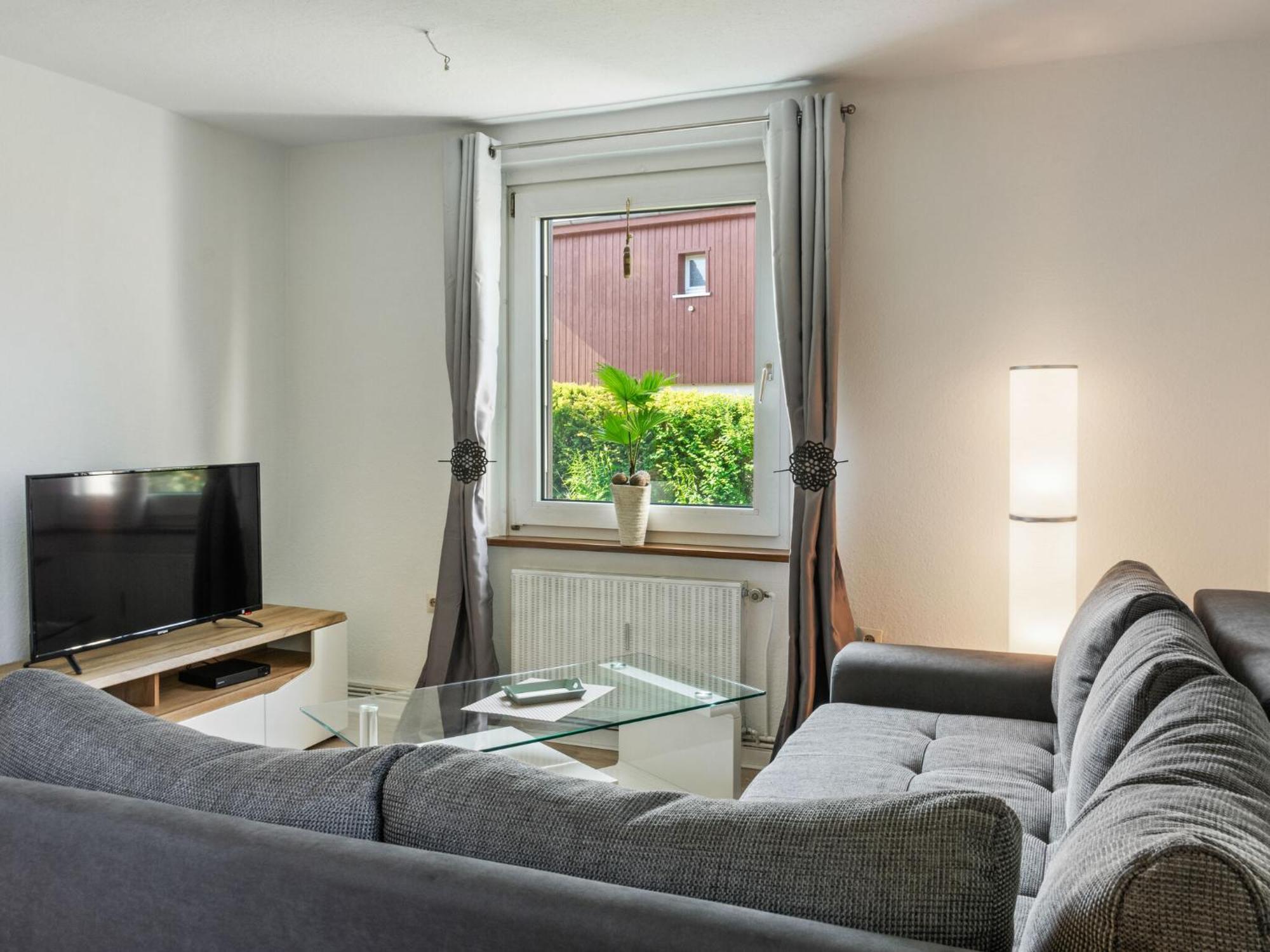 Apartment Large With Garden In A District Of Braunlage