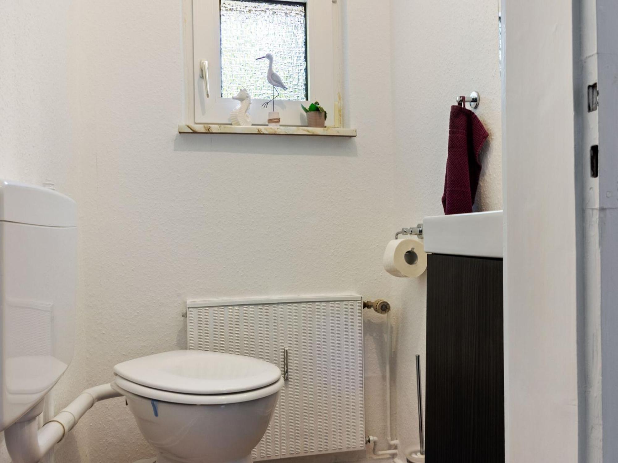 Large With Garden In A District Of Apartment